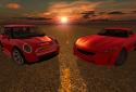 Slalom Racing Simulator screenshot 2