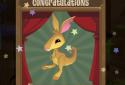 AJ Jump: Animal Jam Kangaroos screenshot 4
