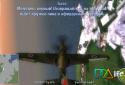 IL-2 Sturmovik: Birds of Prey screenshot 4