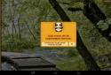 Look for small animals! screenshot 5