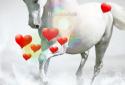 Horse Live Wallpaper screenshot 3