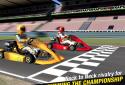 Go Karts screenshot 10