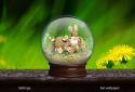 Spring Live Wallpaper Pro screenshot 12