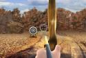 Archery Tournament screenshot 5