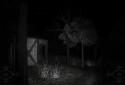 Forest screenshot 3