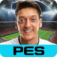 PES MANAGER