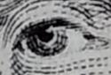 Cozy Magnifier & Microscope Plus screenshot 3