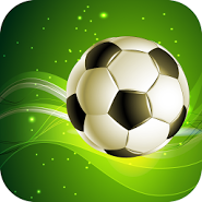 Winner Soccer 2014