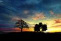 Sunset Hill Live Wallpaper screenshot 6