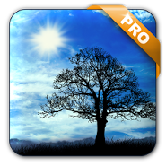 Blue Sky Live Wallpaper