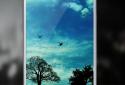 Blue Sky Live Wallpaper screenshot 2