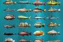 Let's Fish: Sport Fishing Games. Fishing Simulator screenshot 11