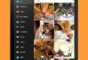 Premium Wallpapers HD screenshot 13