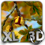 Autumn Leaves in HD Gyro 3D XL Autumn Leaves in HD Gyro 3D XL