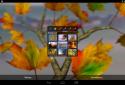 Autumn Leaves in HD Gyro 3D XL screenshot 11 Autumn Leaves in HD Gyro 3D XL screenshot 11