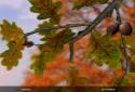 Autumn Leaves in HD Gyro 3D XL screenshot 14 Autumn Leaves in HD Gyro 3D XL screenshot 14