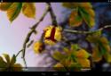 Autumn Leaves in HD Gyro 3D XL screenshot 20 Autumn Leaves in HD Gyro 3D XL screenshot 20