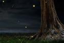 Fireflies lockscreen screenshot 10