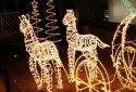 Fireflies lockscreen screenshot 8