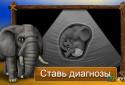 Animal hospital - Africa screenshot 1