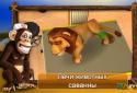 Animal hospital - Africa screenshot 3