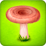 Mushroom pickers and Clans