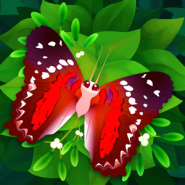 Flutter