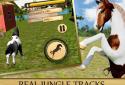 Wild Horse Simulator - 3D Run screenshot 11