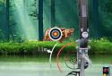 Archer Champion screenshot 8