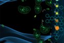 Vitalion Bacteria Evolution screenshot 4
