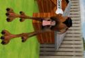 Dany The Dog screenshot 5