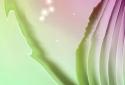 Curve Live Wallpaper screenshot 2