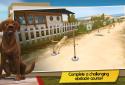 DogHotel - Мой отель для собак screenshot 6