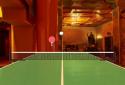 Ballcraft Table Tennis screenshot 2