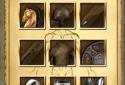 Narborion 2: The God of Orcs screenshot 5