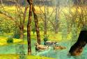 Ducks 3D Live Wallpaper FULL screenshot 2