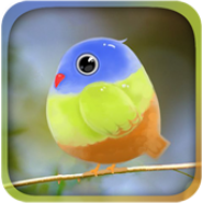 Cute Bird Live Wallpaper