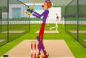 Stick Cricket 2 screenshot 5