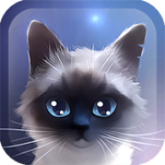 Siamese Cat