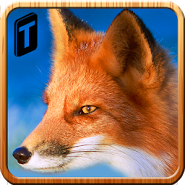Wild Fox