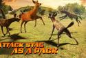 Wild Dog Simulator 3D screenshot 13