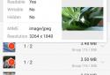 The Search For Duplicate File(Super) screenshot 5