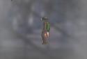 Jet Skeleton screenshot 3