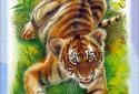 Animal Kingdom for kids! screenshot 5