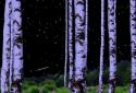 Birch Wood Live Wallpaper screenshot 3