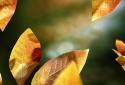 Fresh Leaves screenshot 1