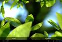 Fresh Leaves screenshot 17