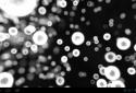 Neon Microcosm Live Wallpaper screenshot 13