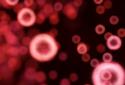 Neon Microcosm Live Wallpaper screenshot 2