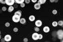 Neon Microcosm Live Wallpaper screenshot 6